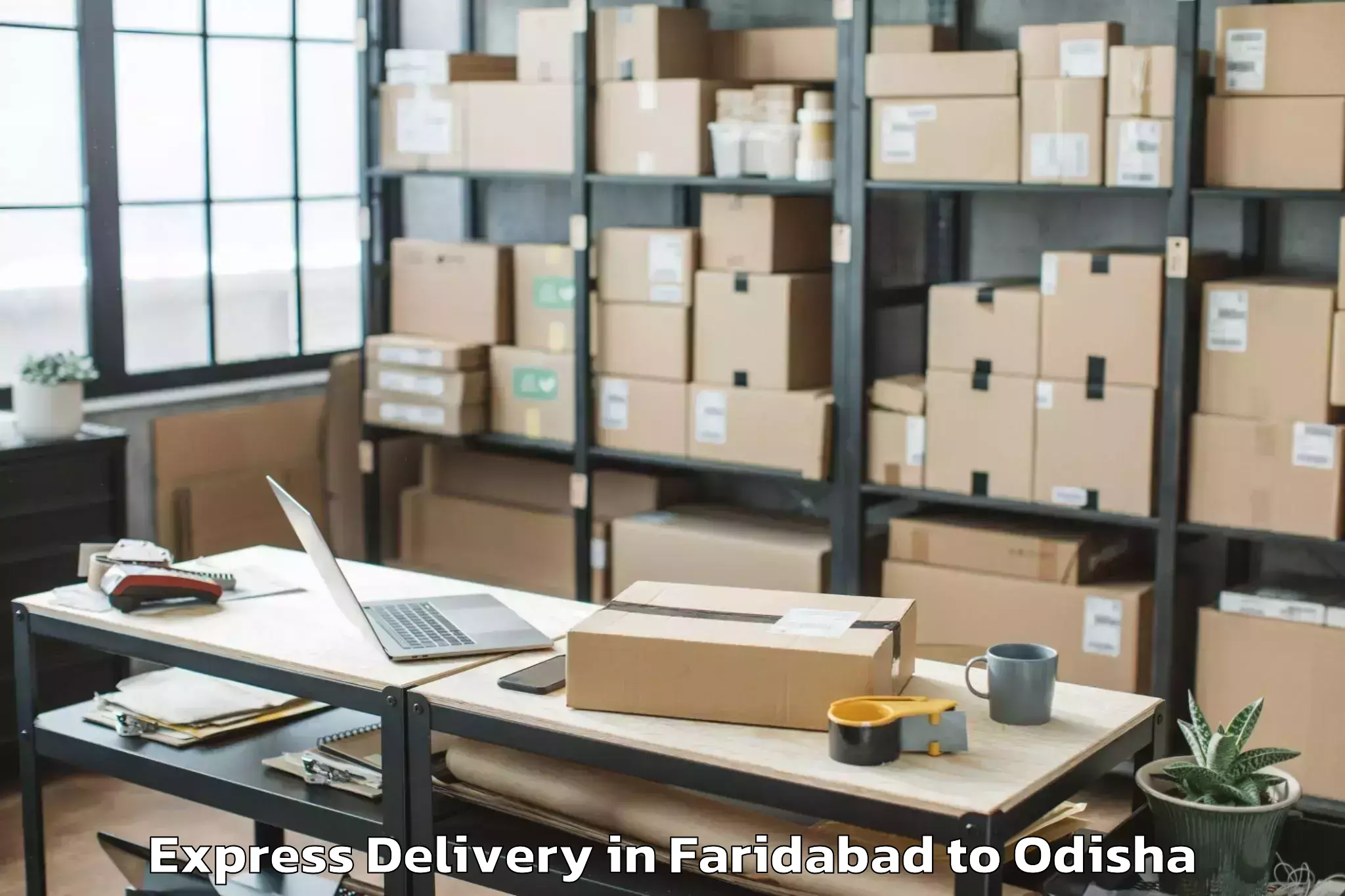 Book Faridabad to National Law University Odisha Express Delivery Online